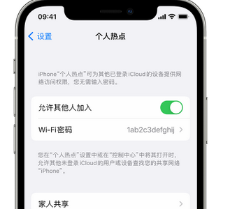 兴庆apple服务站点分享iPhone上个人热点丢失了怎么办