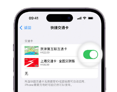 兴庆apple维修点分享iPhone上更换Apple Pay快捷交通卡手绘卡面 