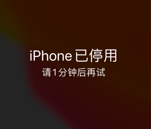 兴庆苹果手机维修分享:iPhone 显示“不可用”或“已停用”怎么办？还能保留数据吗？ 