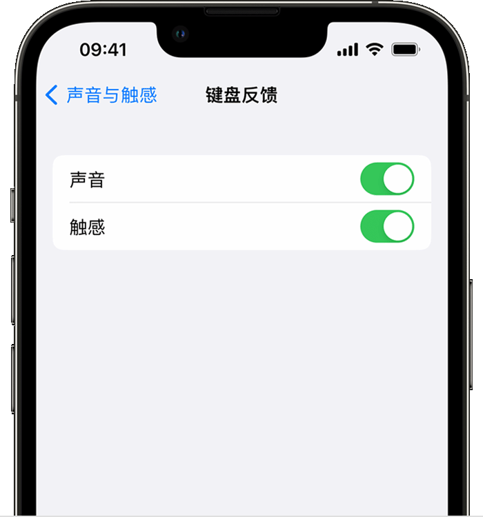 兴庆苹果14维修店分享如何在 iPhone 14 机型中使用触感键盘 