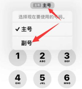 兴庆苹果14维修店分享iPhone 14 Pro Max使用副卡打电话的方法 