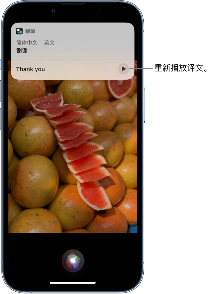 兴庆苹果14维修分享 iPhone 14 机型中使用 Siri：了解 Siri 能帮你做什么 