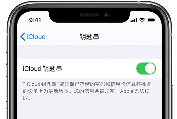 兴庆苹果手机维修分享在 iPhone 上开启 iCloud 钥匙串之后会储存哪些信息 