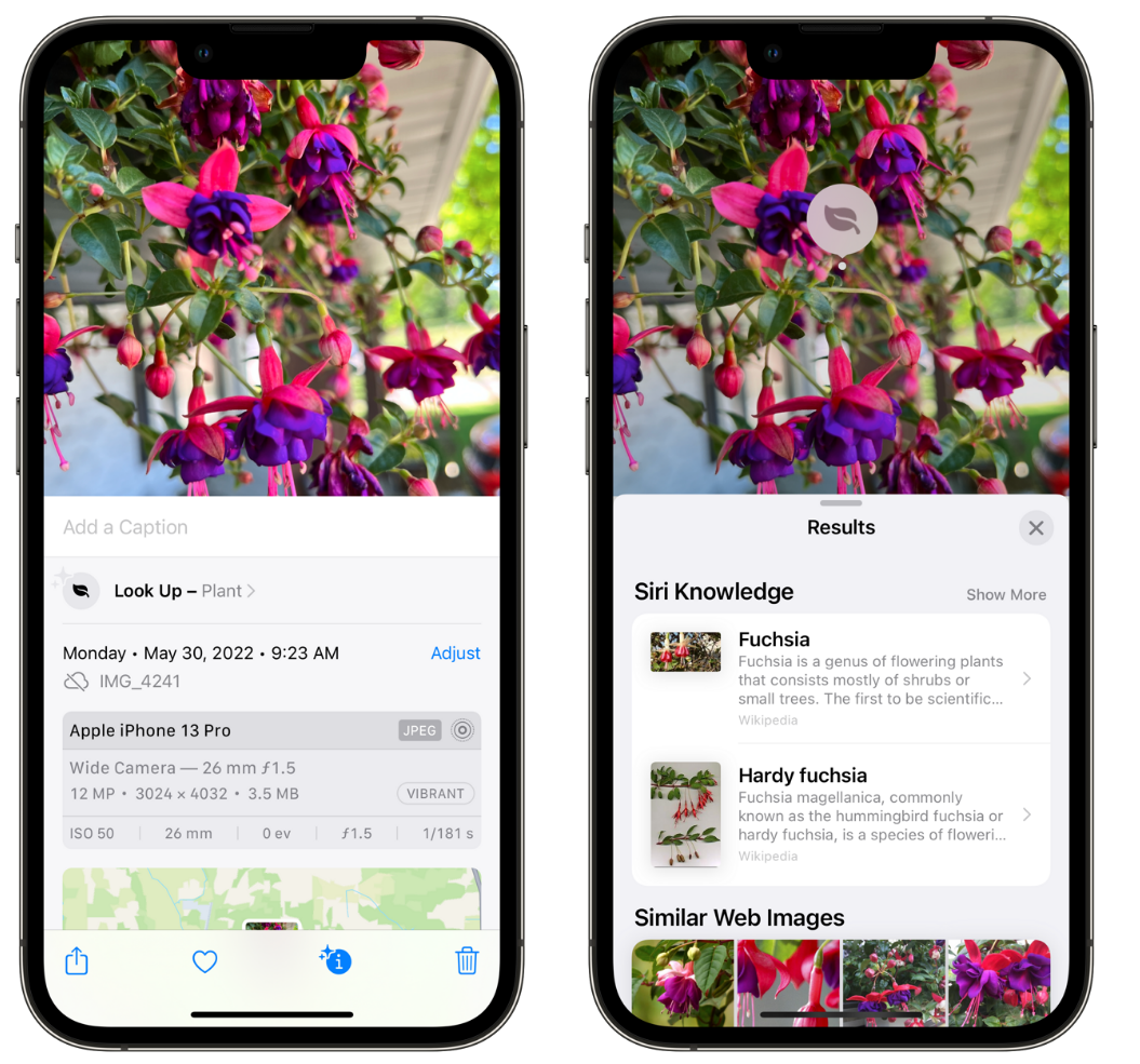 兴庆苹果手机维修分享小技巧：使用 iPhone 相机识别花卉植物 