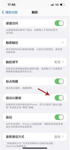 兴庆苹果手机维修分享iPhone手机如何设置摇一摇删除文字 